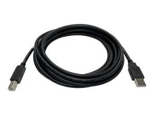 Black Box - USB cable - USB (M) to USB Type B (M) - USB 2.0 - 15 ft - black USB05-0015-R2